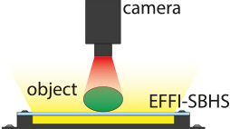 Diagram of an application of an Effi-SBHS for machine vision and quality control