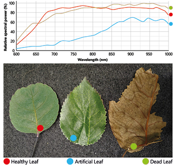 Imágenes hiperespectrales para el análisis de hojas.