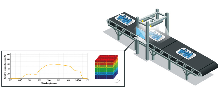 Hyperspectral imaging for quality control on fishes.