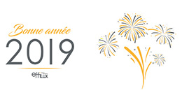 EFFILUX vous souhaite une bonne année 2019 !