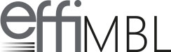 Logo EFFI-Flex
